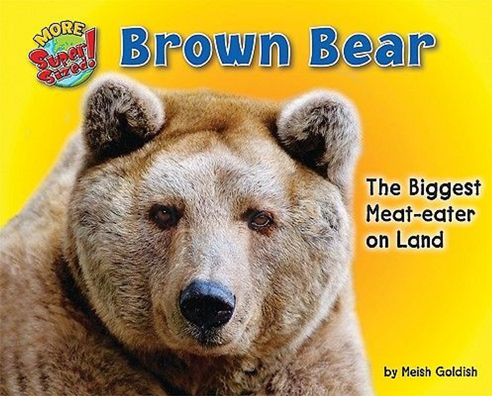 Brown Bear