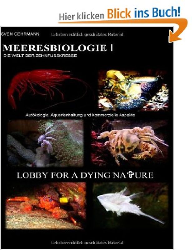 MEERESBIOLOGIE I