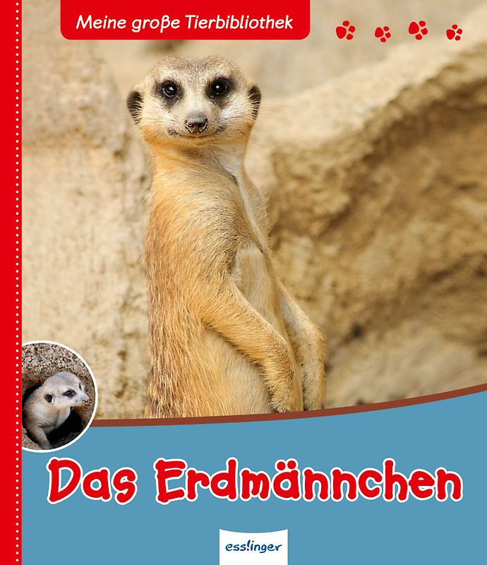 Meine große Tierbibliothek: Das Erdmännchen