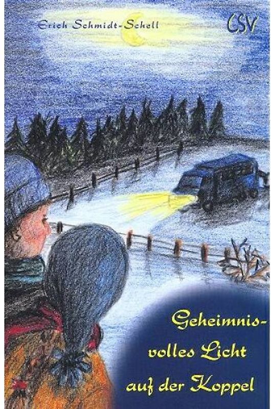 Geheimnisvolles Licht auf der Koppel