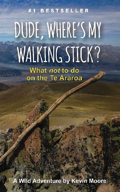 Dude, Where's My Walking Stick?