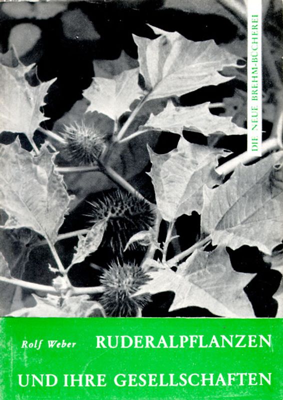 Ruderalpflanzen und ihre Gesellschaften