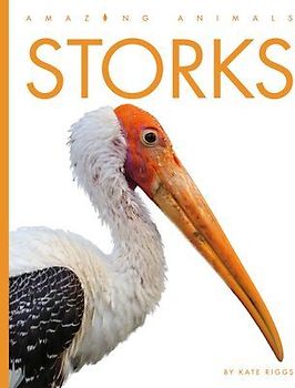 Storks
