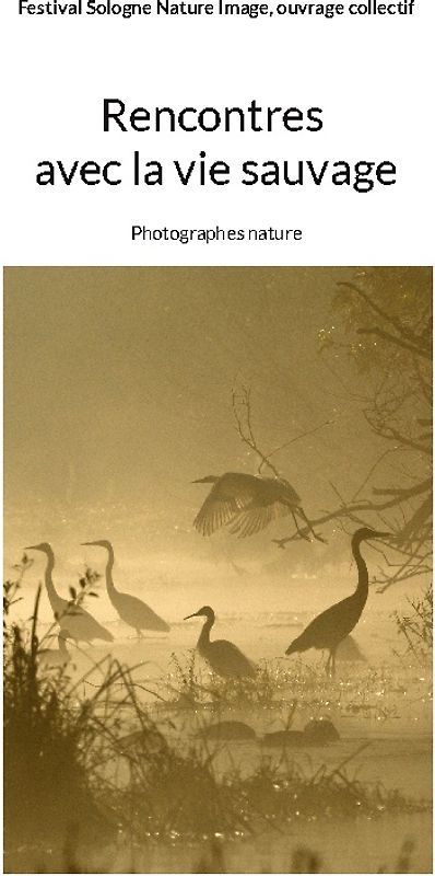 Rencontres avec la vie sauvage