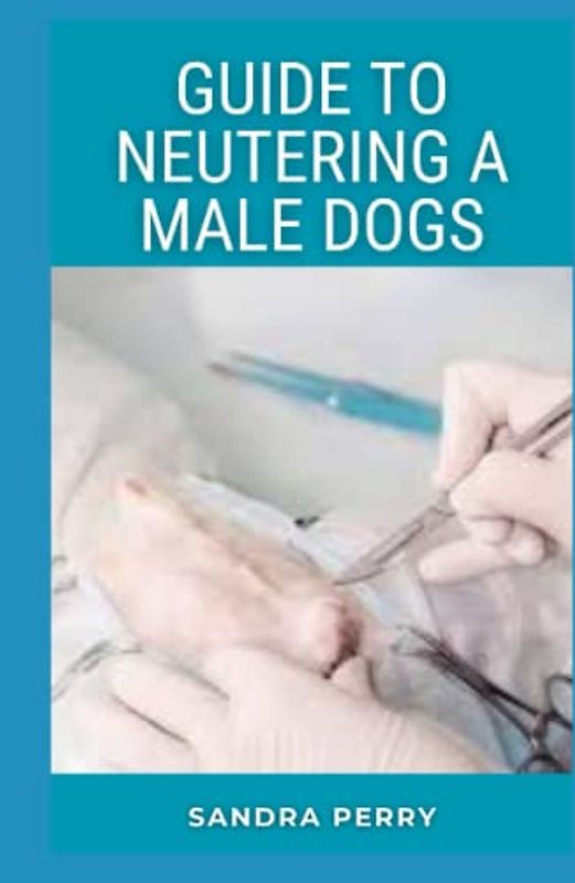 Guide to Neutering A Male Dogs: Neutering is a simple surgical procedure that sterilizes a male dog so he’s incapable of parenting puppies.