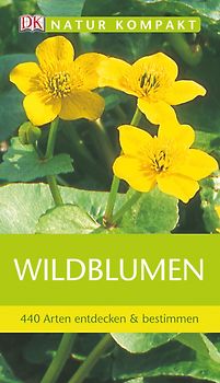Wildblumen