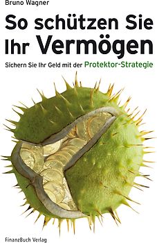 So schützen Sie Ihr Vermögen