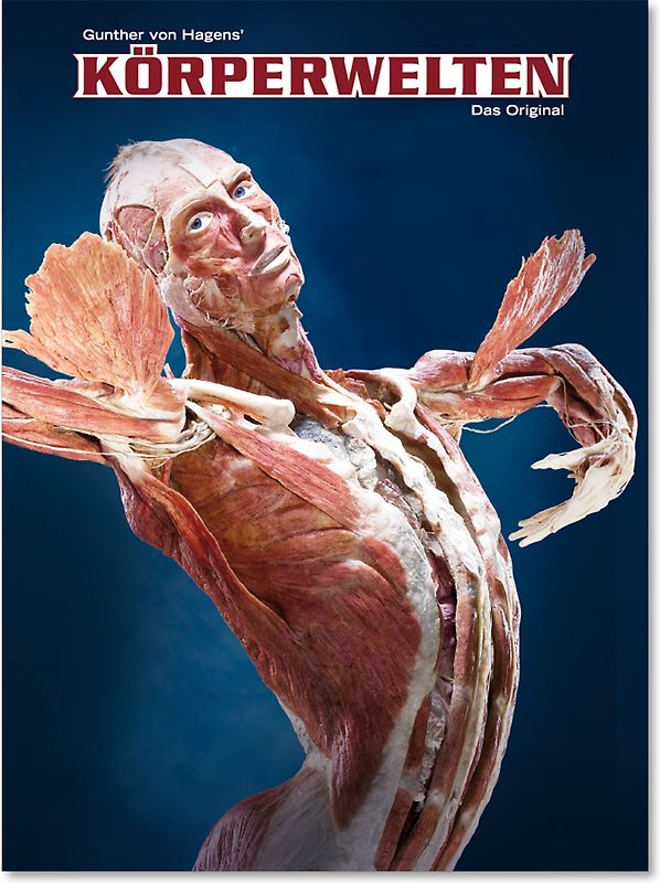 Körperwelten. Das Original - Der aktuelle Ausstellungskatalog