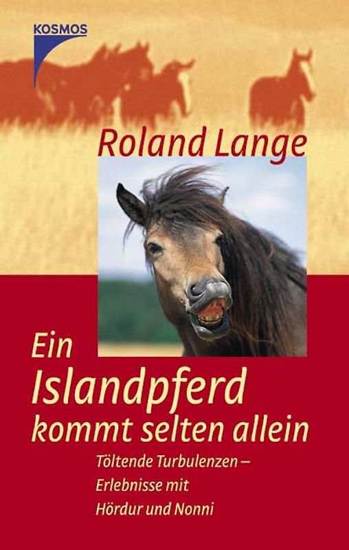 Ein Islandpferd kommt selten allein