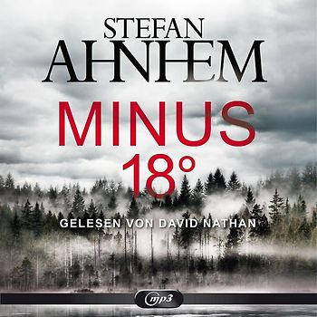 Minus 18 Grad (Ein Fabian-Risk-Krimi 3)
