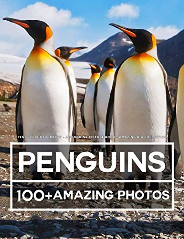 Penguin Photography - A Penguins Picture Book - Amazing Big Collection: 100+ Amazing Pictures of in this Beautiful Penguins Photo book
