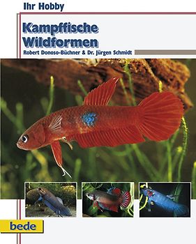 Kampffische - Wildformen