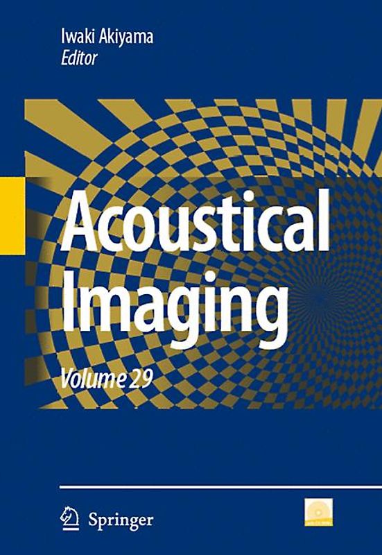 Acoustical Imaging