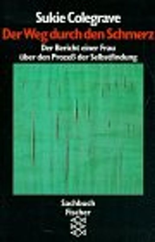 Der Weg durch den Schmerz. Seelenstärke durch Überwindung der schmerzhaften Erfahrungen des Lebens