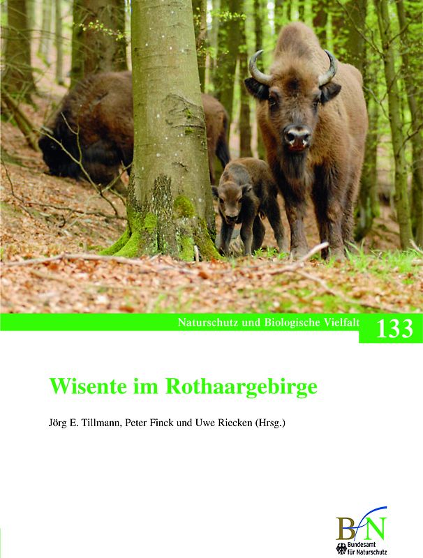 Wisente im Rothaargebirge