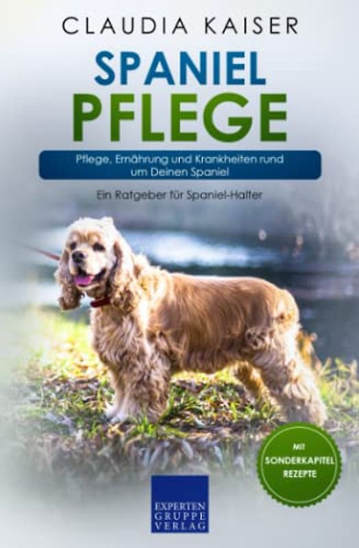 Spaniel Pflege: Pflege, Ernährung und Krankheiten rund um Deinen Spaniel
