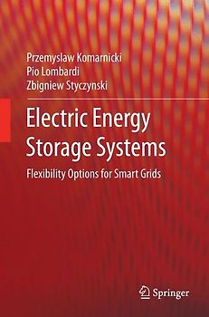 Electric Energy Storage Systems