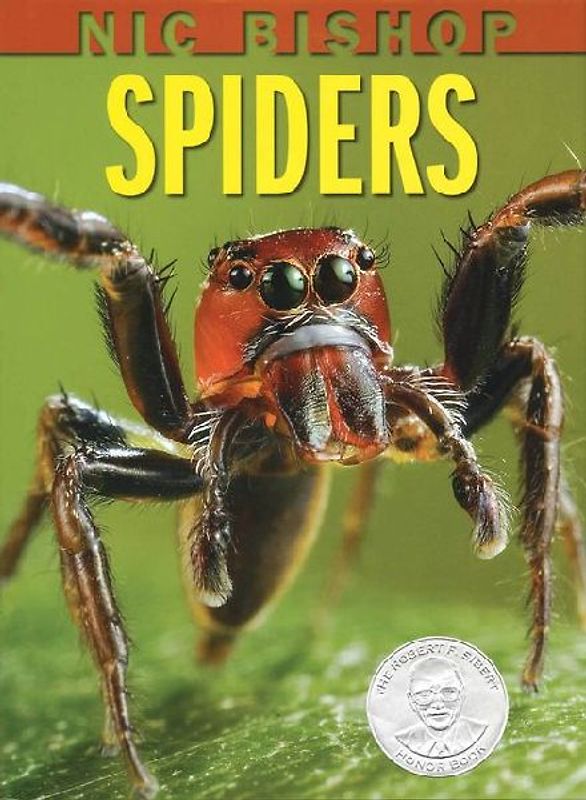 Nic Bishop: Spiders