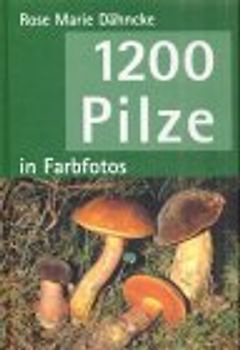1200 Pilze