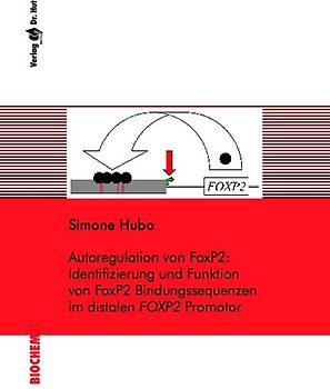 Autoregulation von FoxP2: Identifizierung und Funktion von FoxP2 Bindungssequenzen im distalen FOXP2 Promotor