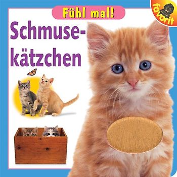 Fühl mal! Schmusekätzchen
