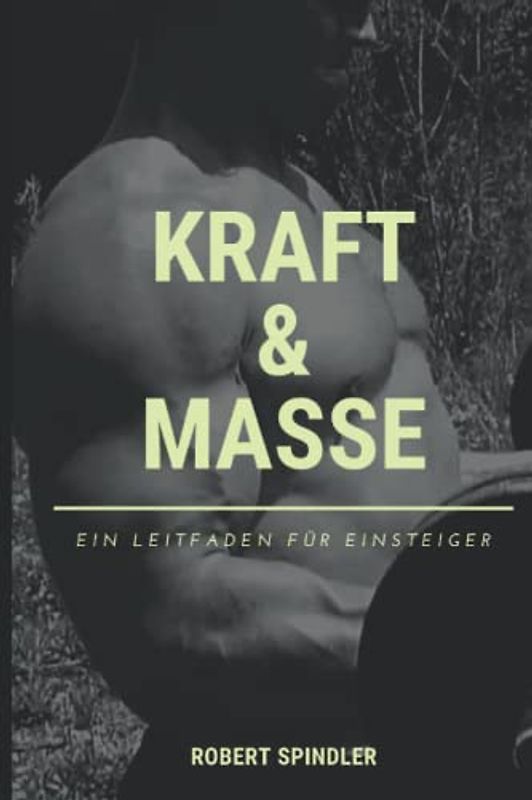 Kraft & Masse: Ein Leitfaden für Einsteiger