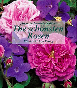 Die schönsten Rosen