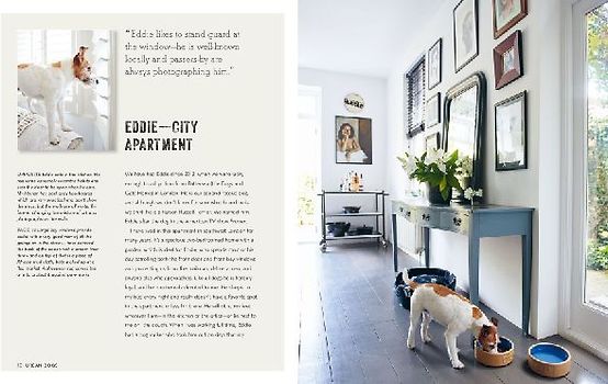 Cool Dogs, Cool Homes