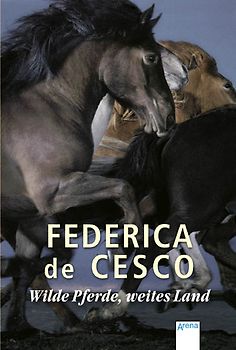 Wilde Pferde, weites Land