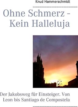 Ohne Schmerz - Kein Halleluja