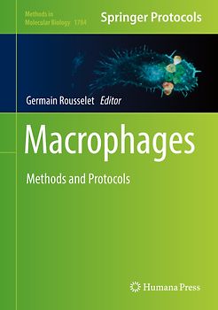 Macrophages
