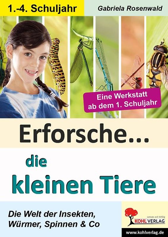 Erforsche die kleinen Tiere