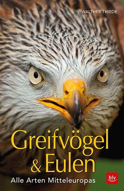 BLV Greifvögel & Eulen