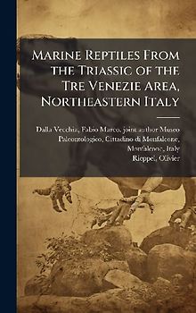 Marine Reptiles From the Triassic of the Tre Venezie Area, Northeastern Italy