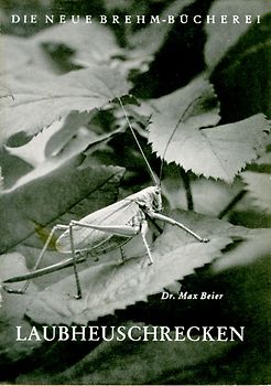 Laubheuschrecken