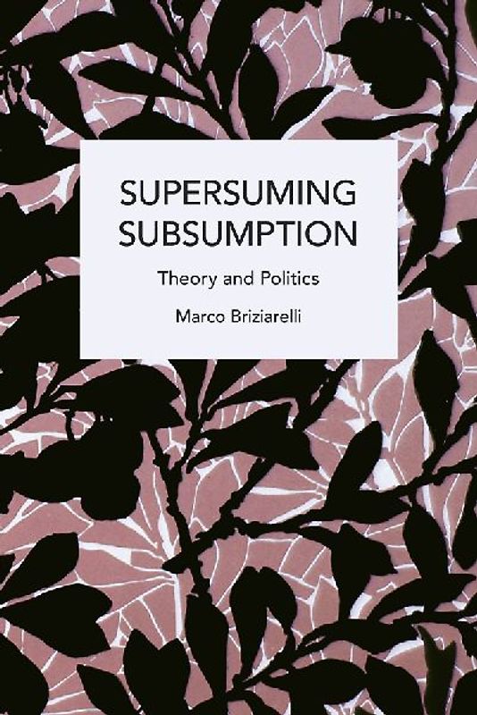 Supersuming Subsumption: Theory and Politics