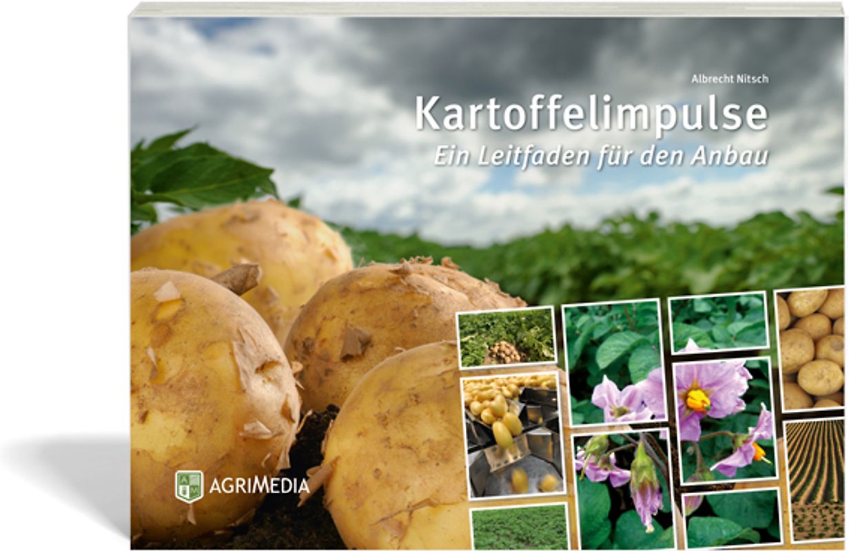 Kartoffelimpulse