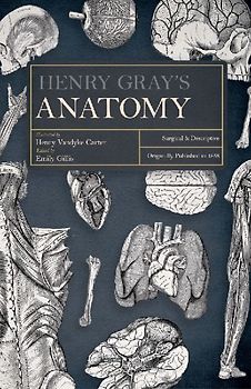 Henry Gray's Anatomy