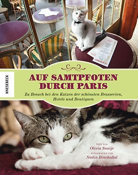 Auf Samtpfoten durch Paris