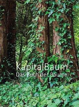 Kapital Baum