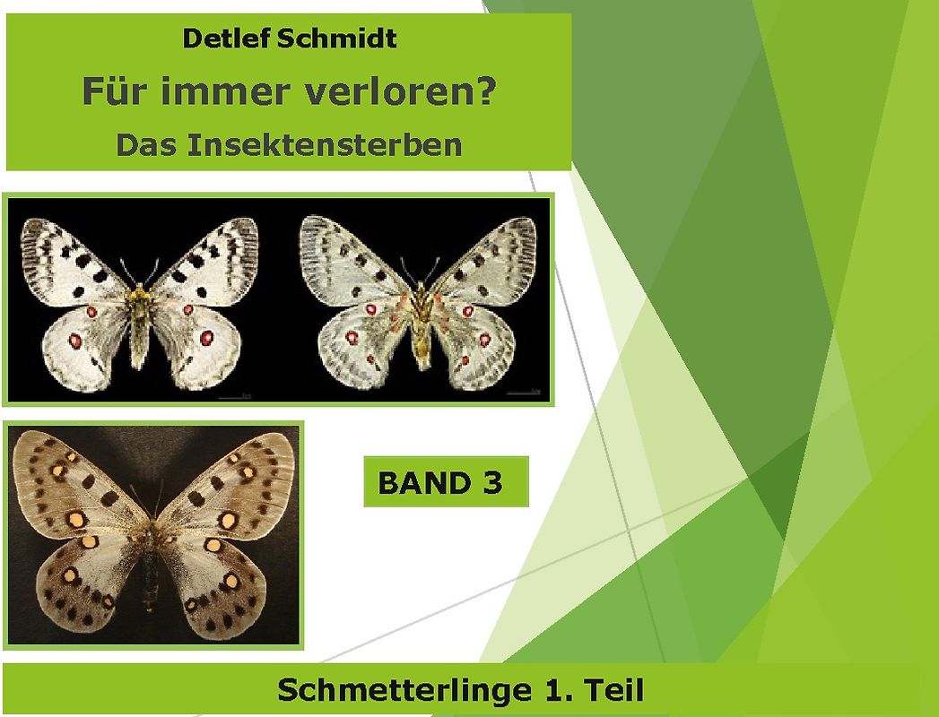 Für immer verloren?