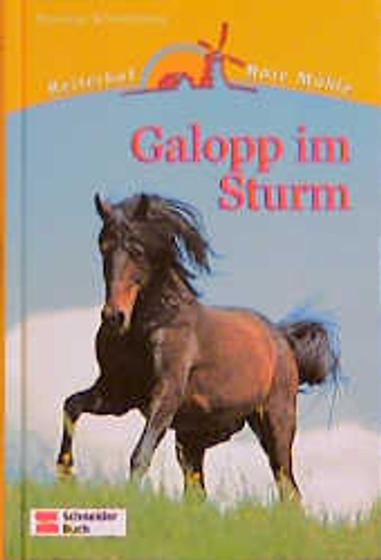 Reiterhof Rote Mühle / Galopp im Sturm