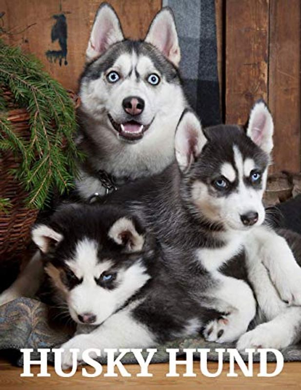Husky Hund: Das Bilderbuch von Amazing Huskey Dog für Kinder, Alzheimer, Senior mit Demenz.