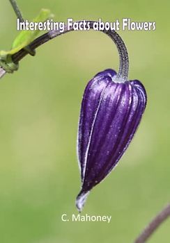 Interesting Facts about Flowers