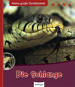 Die Schlange