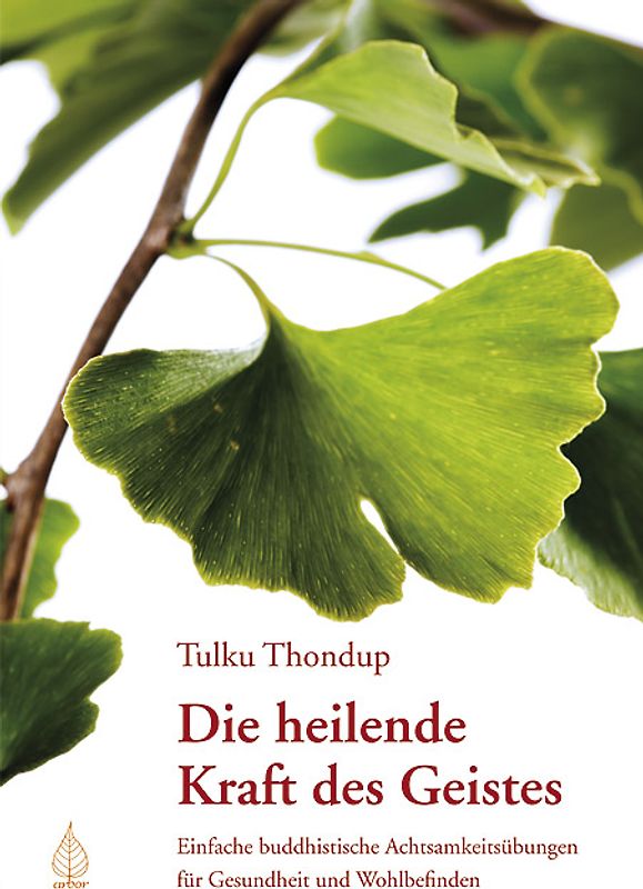 Die heilende Kraft des Geistes