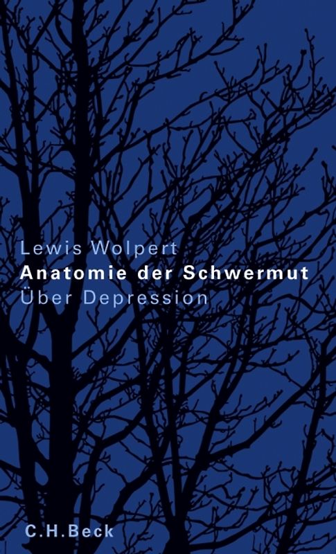 Anatomie der Schwermut