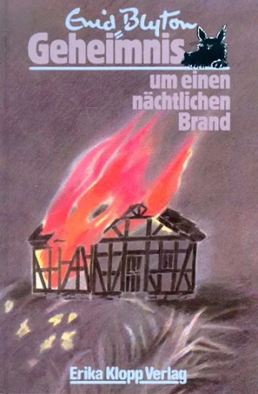 Geheimnis-Serie / Geheimnis um einen nächtlichen Brand. Fünfzehn lustige Erlebnisse der 6 Spürnasen