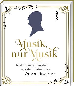 Musik, nur Musik