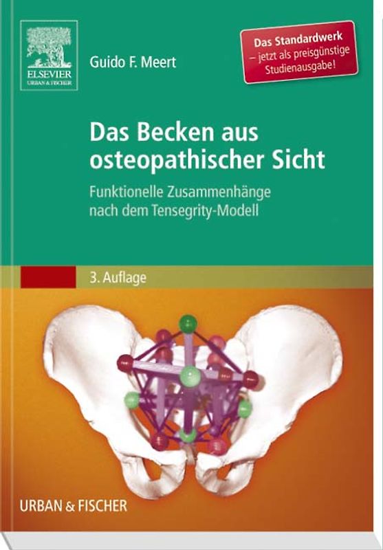 Das Becken aus osteopathischer Sicht